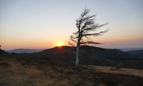 Lorem Ipsum jest tekstem stosowanym